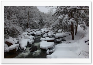 Winter In The Wood Ultra HD Wallpaper for 4K UHD Widescreen desktop, tablet & smartphone