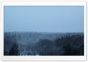 Winter in the woods ART.IRBIS Production Ultra HD Wallpaper for 4K UHD Widescreen desktop, tablet & smartphone