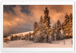 Winter In Zakopane Poland Ultra HD Wallpaper for 4K UHD Widescreen desktop, tablet & smartphone