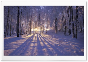 Winter is Coming Ultra HD Wallpaper for 4K UHD Widescreen desktop, tablet & smartphone