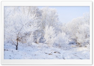 Winter Landscape Background Ultra HD Wallpaper for 4K UHD Widescreen desktop, tablet & smartphone