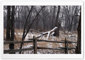 Winter Landscape Nature 21 4K UHD Wallpaper for Widescreen and UltraWide Desktop, UltraHD TV, Smartphone, Tablet