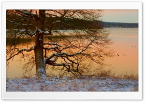 Winter Landscape Nature 24 Ultra HD Wallpaper for 4K UHD Widescreen desktop, tablet & smartphone