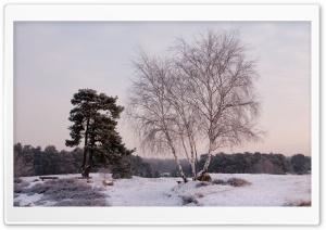Winter Landscape Nature 7 4K UHD Wallpaper for Widescreen and UltraWide Desktop, UltraHD TV, Smartphone, Tablet