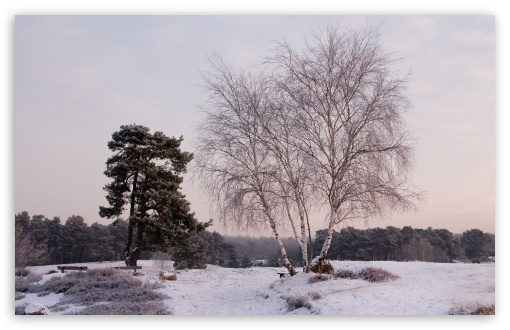 Winter Landscape Nature 7 UltraHD Wallpaper for HD 16:9 ; Widescreen 16:10 5:3 ; Fullscreen 4:3 5:4 3:2 ; Tablet 1:1 ; Mobile 3:4 ;