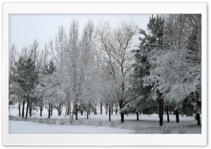 Winter Landscape Nature 9 Ultra HD Wallpaper for 4K UHD Widescreen desktop, tablet & smartphone
