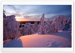 Winter, Lapland, Finland Ultra HD Wallpaper for 4K UHD Widescreen desktop, tablet & smartphone