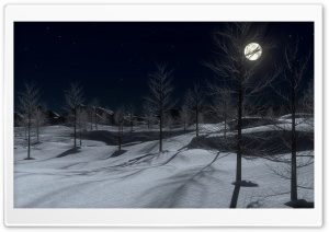 Winter Midnight 3D Ultra HD Wallpaper for 4K UHD Widescreen desktop, tablet & smartphone