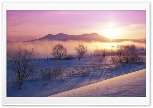 Winter Mist Ultra HD Wallpaper for 4K UHD Widescreen desktop, tablet & smartphone