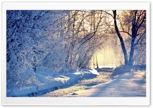 Winter Morning Light Ultra HD Wallpaper for 4K UHD Widescreen desktop, tablet & smartphone