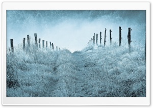 Winter Morning Mist Ultra HD Wallpaper for 4K UHD Widescreen desktop, tablet & smartphone
