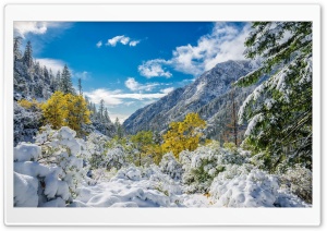 Winter Mountains Scenery Fir Ultra HD Wallpaper for 4K UHD Widescreen desktop, tablet & smartphone