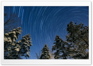 Winter, Night, Star Trail, Snowy Trees Ultra HD Wallpaper for 4K UHD Widescreen desktop, tablet & smartphone