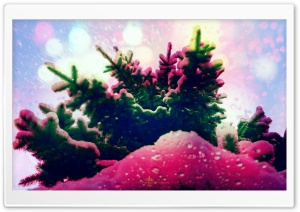 Winter Rain Ultra HD Wallpaper for 4K UHD Widescreen desktop, tablet & smartphone