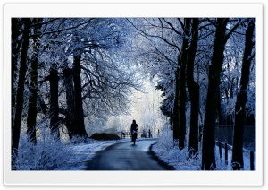 Winter Road Scene Ultra HD Wallpaper for 4K UHD Widescreen desktop, tablet & smartphone