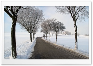 Winter Road Trees Ultra HD Wallpaper for 4K UHD Widescreen desktop, tablet & smartphone