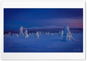 Winter s Embrace, A Scenic Finnish Landscape, Blue Light Ultra HD Wallpaper for 4K UHD Widescreen Desktop, Lockscreen, Screensaver, TV, Tablet, Smartphone