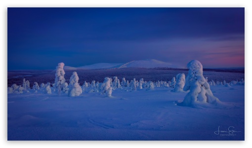 Winter s Embrace, A Scenic Finnish Landscape, Blue Light UltraHD Wallpaper for UHD 16:9 ; HD 16:9 ;