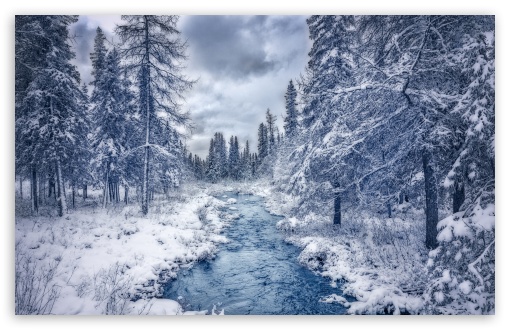 Winter Scene Backdrop UltraHD Wallpaper for UHD 16:9 ; HD 16:9 ; UltraWide 21:9 24:10 32:9 32:10 ; Widescreen 16:10 5:3 ; Fullscreen 4:3 5:4 3:2 ; Tablet 1:1 ; Mobile 9:16 9:19.5 9:20 9:21 9:22 10:16 2:3 3:5 3:4 ; Dual 16:10 5:3 16:9 4:3 5:4 3:2 ;