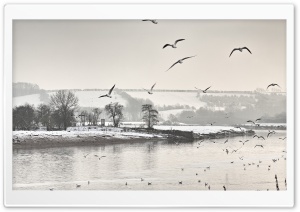 Winter Scene Black And White Ultra HD Wallpaper for 4K UHD Widescreen desktop, tablet & smartphone