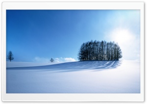 Winter Scenery, Japan Ultra HD Wallpaper for 4K UHD Widescreen desktop, tablet & smartphone