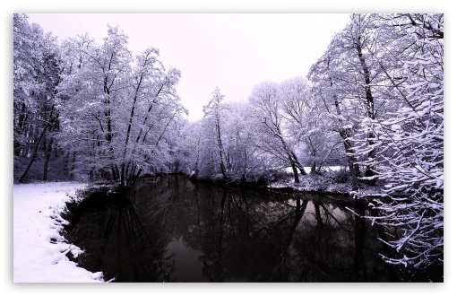 Winter Scenes 1 UltraHD Wallpaper for 8K UHD TV 16:9 Ultra High Definition 2160p 1440p 1080p 900p 720p ; Widescreen 16:10 5:3 WHXGA WQXGA WUXGA WXGA WGA ; Fullscreen 4:3 5:4 3:2 UXGA XGA SVGA QSXGA SXGA DVGA HVGA HQVGA ( Apple PowerBook G4 iPhone 4 3G 3GS iPod Touch ) ; Tablet 1:1 ; Mobile 3:5 3:4 - ;