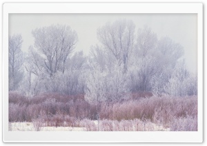 Winter Scenes 16 Ultra HD Wallpaper for 4K UHD Widescreen desktop, tablet & smartphone