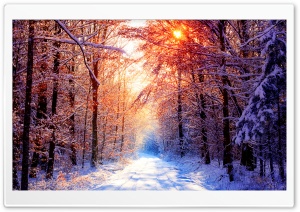 Winter Scenes 18 Ultra HD Wallpaper for 4K UHD Widescreen desktop, tablet & smartphone