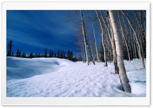 Winter Scenes 9 Ultra HD Wallpaper for 4K UHD Widescreen desktop, tablet & smartphone