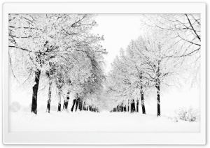 Winter Season Ultra HD Wallpaper for 4K UHD Widescreen desktop, tablet & smartphone