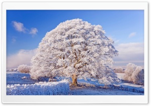 Winter Season Ultra HD Wallpaper for 4K UHD Widescreen desktop, tablet & smartphone