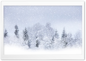 Winter Snow Ultra HD Wallpaper for 4K UHD Widescreen desktop, tablet & smartphone