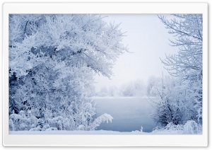 Winter Snow Background Ultra HD Wallpaper for 4K UHD Widescreen desktop, tablet & smartphone