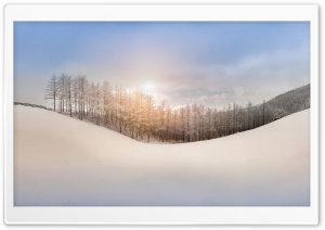 Winter, Snow, Hills, Sunlight, Trees Ultra HD Wallpaper for 4K UHD Widescreen desktop, tablet & smartphone