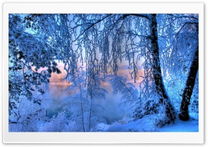 Winter, Snow, Lake, Trees Ultra HD Wallpaper for 4K UHD Widescreen desktop, tablet & smartphone