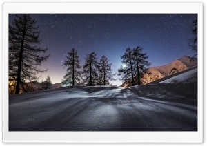 Winter, Snow, Moonlight, Trees Ultra HD Wallpaper for 4K UHD Widescreen desktop, tablet & smartphone