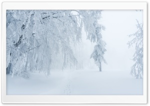 Winter Snow White Fog Scenery Ultra HD Wallpaper for 4K UHD Widescreen desktop, tablet & smartphone