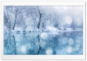 Winter Snowfall Ultra HD Wallpaper for 4K UHD Widescreen desktop, tablet & smartphone