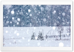 Winter Snowing Ultra HD Wallpaper for 4K UHD Widescreen desktop, tablet & smartphone