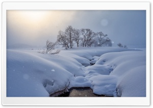 Winter Snowy Landscape Ultra HD Wallpaper for 4K UHD Widescreen desktop, tablet & smartphone