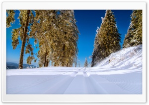 Winter Snowy Road Scenery Ultra HD Wallpaper for 4K UHD Widescreen desktop, tablet & smartphone