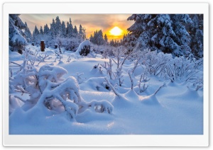 Winter Sun Ultra HD Wallpaper for 4K UHD Widescreen desktop, tablet & smartphone