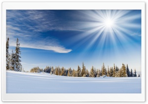 Winter Sunlight Ultra HD Wallpaper for 4K UHD Widescreen desktop, tablet & smartphone