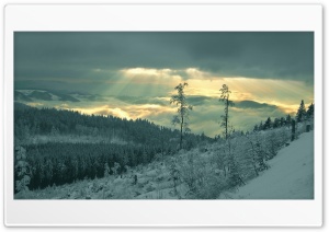 Winter Sunrays Ultra HD Wallpaper for 4K UHD Widescreen desktop, tablet & smartphone