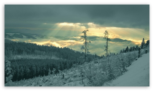 Winter Sunrays UltraHD Wallpaper for HD 16:9 ;