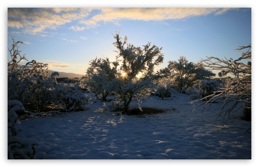 Winter Sunrise 3 UltraHD Wallpaper for UHD 16:9 ; HD 16:9 ; UltraWide 32:9 32:10 ; Widescreen 16:10 5:3 ; Fullscreen 4:3 5:4 3:2 ; Tablet 1:1 ; Mobile 3:5 3:4 ; Dual 16:10 5:3 16:9 4:3 5:4 ;