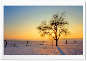 Winter Sunset Ultra HD Wallpaper for 4K UHD Widescreen desktop, tablet & smartphone