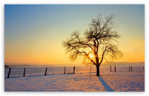 Winter Sunset UltraHD Wallpaper for Wide 16:10 5:3 Widescreen WHXGA WQXGA WUXGA WXGA WGA ; 8K UHD TV 16:9 Ultra High Definition 2160p 1440p 1080p 900p 720p ; Standard 4:3 5:4 3:2 Fullscreen UXGA XGA SVGA QSXGA SXGA DVGA HVGA HQVGA ( Apple PowerBook G4 iPhone 4 3G 3GS iPod Touch ) ; Tablet 1:1 ; iPad 1/2/Mini ; Mobile 4:3 5:3 3:2 16:9 5:4 - UXGA XGA SVGA WGA DVGA HVGA HQVGA ( Apple PowerBook G4 iPhone 4 3G 3GS iPod Touch ) 2160p 1440p 1080p 900p 720p QSXGA SXGA ;