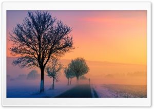 Winter Sunset Scene Ultra HD Wallpaper for 4K UHD Widescreen desktop, tablet & smartphone