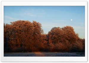 Winter Sunset, Utrecht Ultra HD Wallpaper for 4K UHD Widescreen desktop, tablet & smartphone